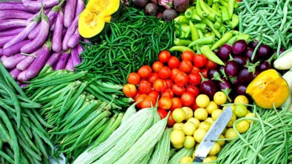 What is the difference between vegetables and herbs?