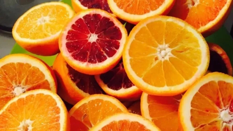 Types of oranges and their characteristics