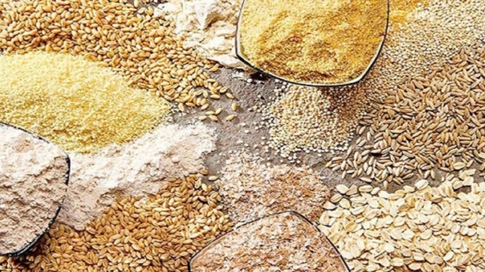 All kinds of animal feed