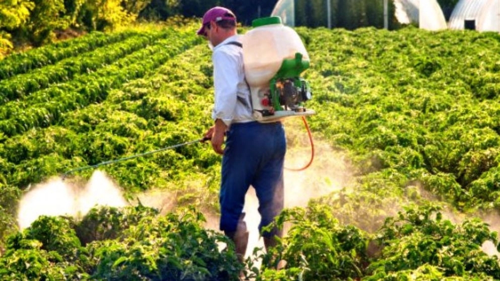 Types of agricultural pesticides and their use