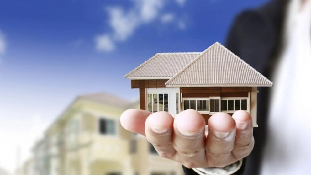 Duties of an employee in a real estate consultant job
