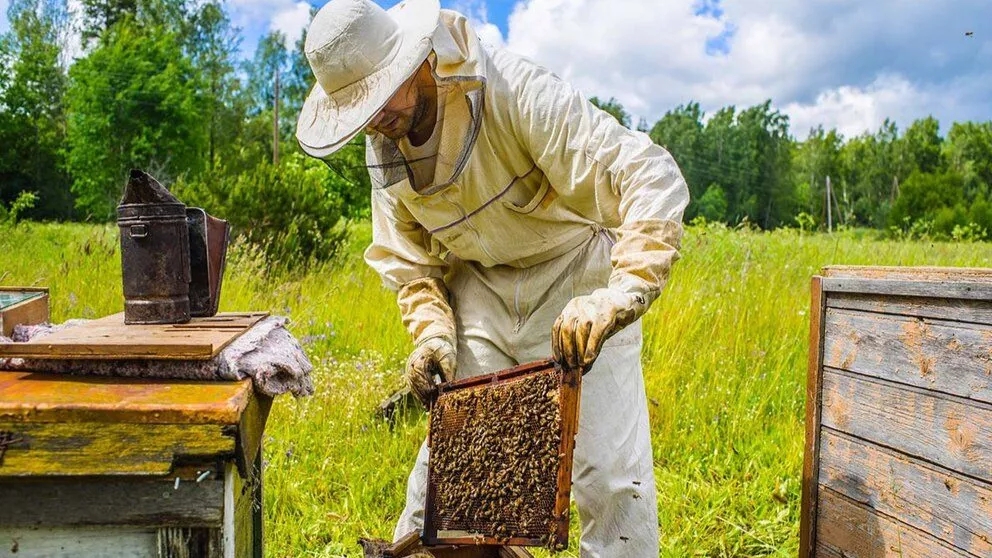 Introduction of beekeeping supplies and equipment