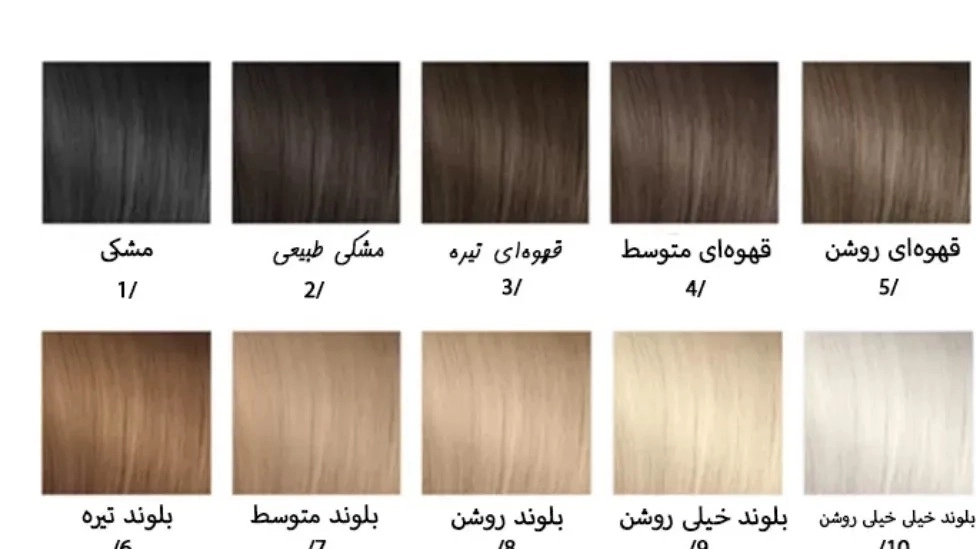 ☑️ الإلمام بطرق وتصفيفات ألوان الشعر المختلفة