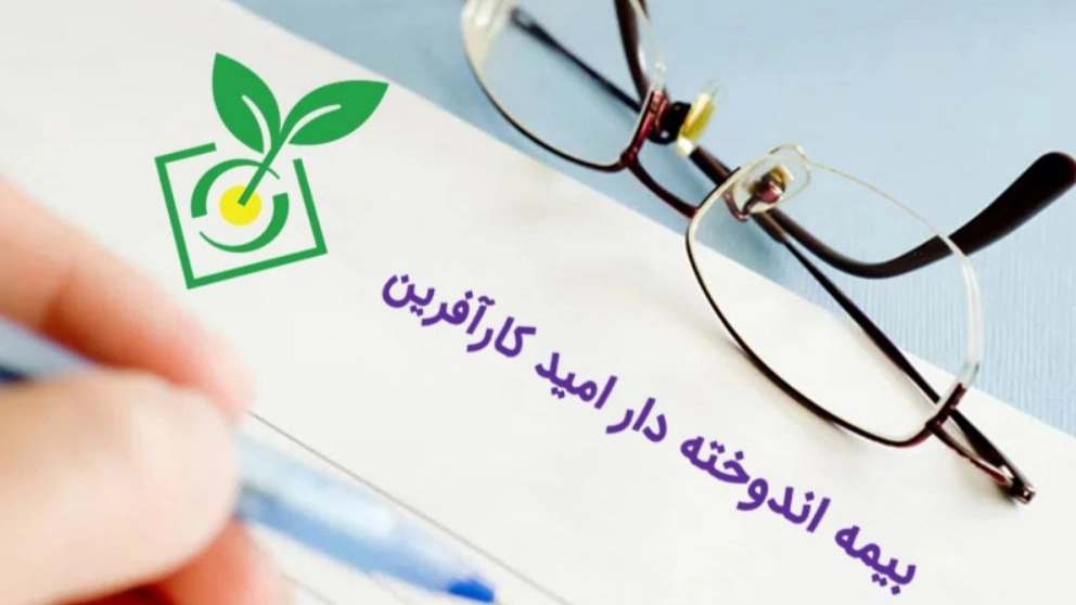 Terms and conditions of purchasing Omid Karebehan insurance policy