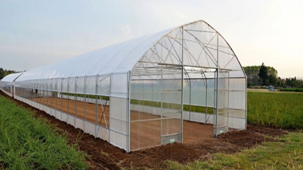 Types of greenhouses in terms of structure