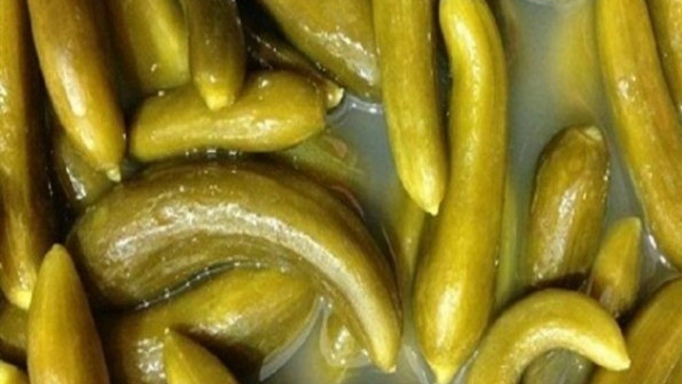 خواص خیار شور