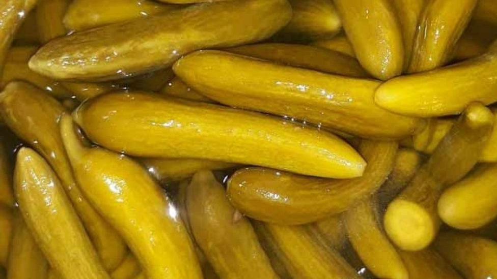 خواص خیار شور