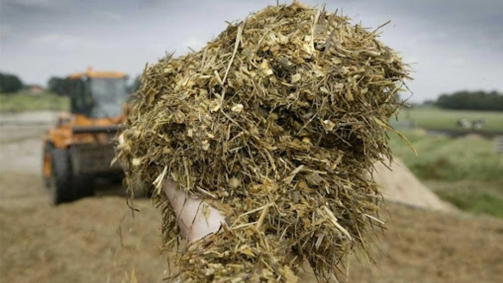 chop fodder