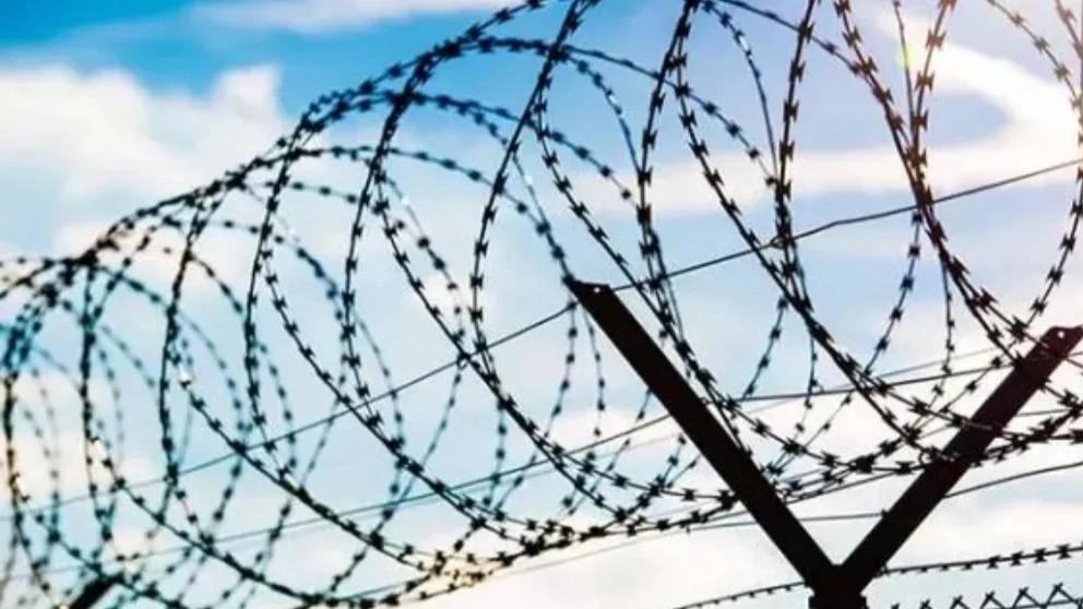 Types of barbed wire and its uses