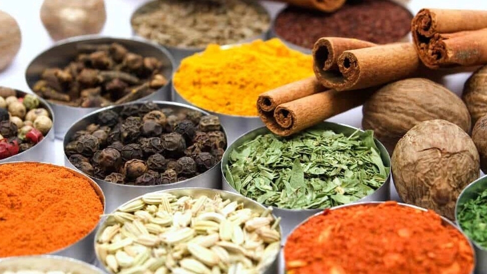 The effect of medicinal plants on human health