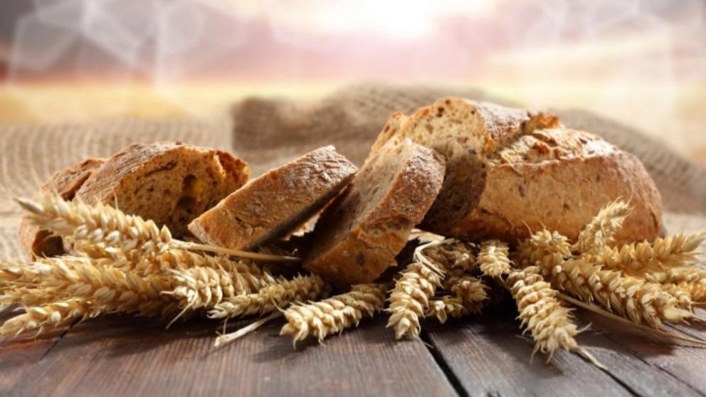 چرا باید نان سبوس‌دار بخوریم؟