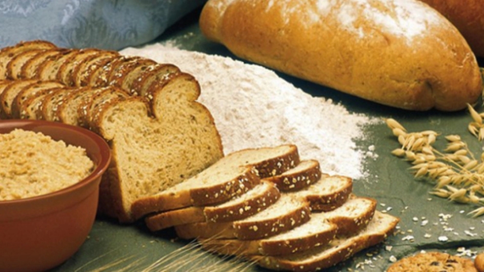 نان جو بخوریم یا نان گندم؟