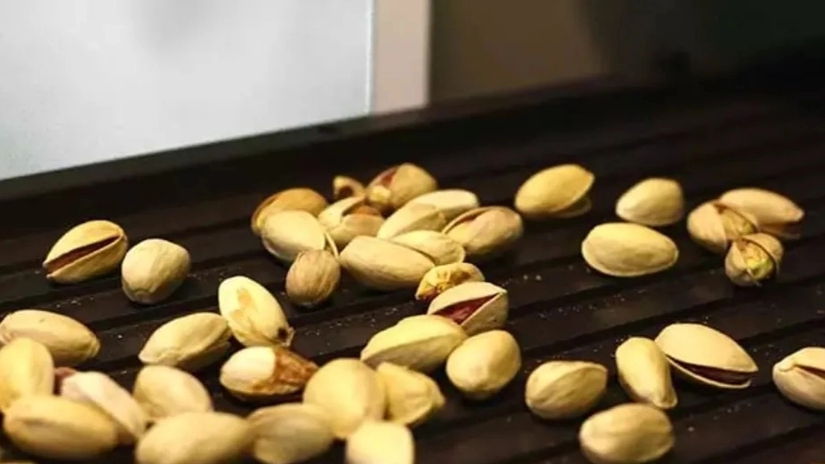 Antep fıstığı ayıklama ve fıstık ayıklama nedenleri