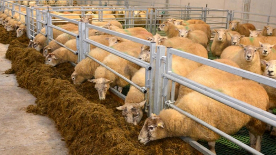 Hay and its properties