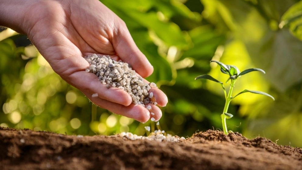 Types of chemical fertilizers used in agriculture