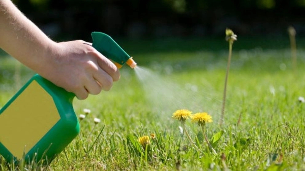 Getting to know the types of herbicides in agriculture