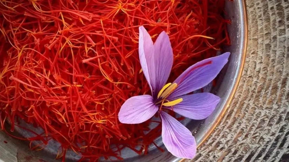 Saffron export in 4 stages