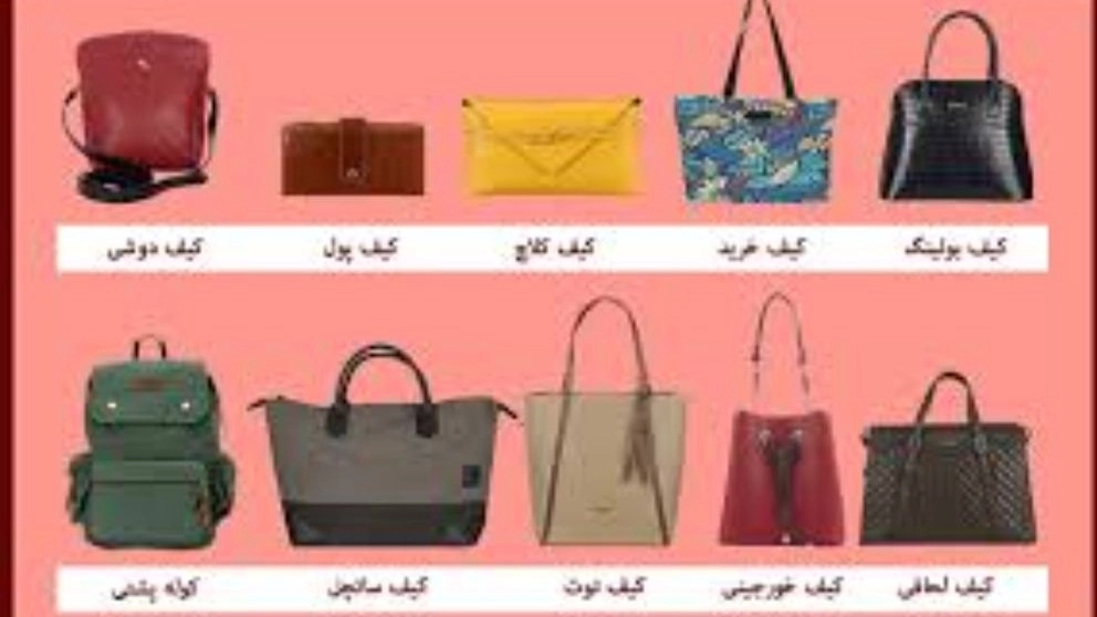 Introducing 10 models of women's bags