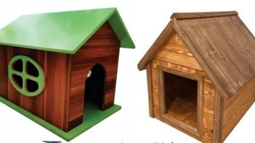 Sleeping places for dogs and cats and their types