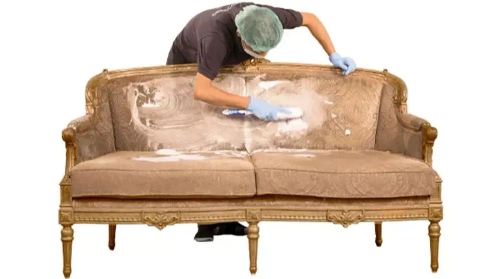 What are the characteristics of the best sofa cleaner?