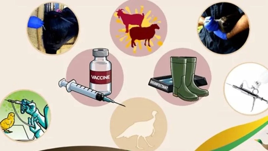 An overview of some common viral diseases in livestock