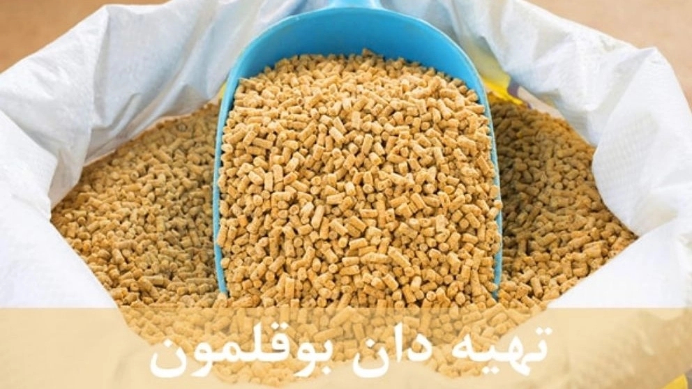 دان بوقلمون