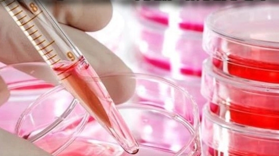 Comparison of microbial and cell culture media