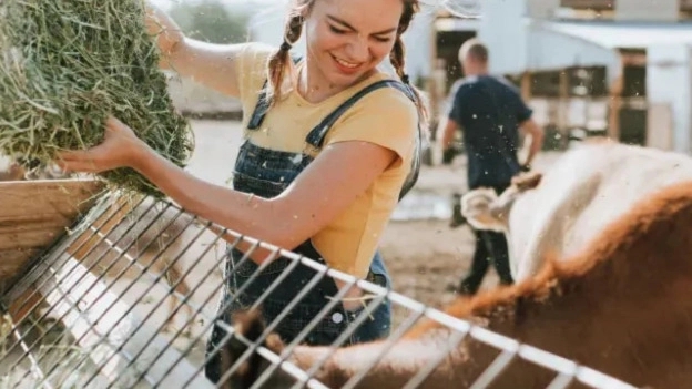 Animal and poultry feed protein sources