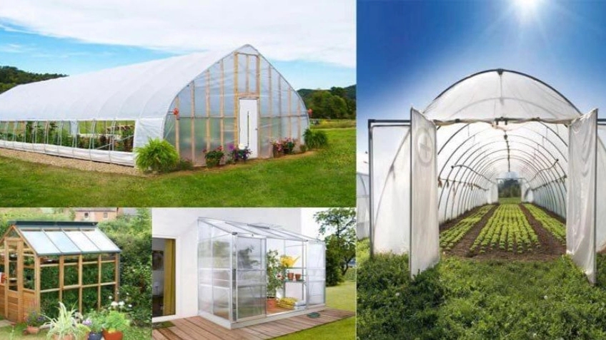 Greenhouse equipment for setting up a greenhouse