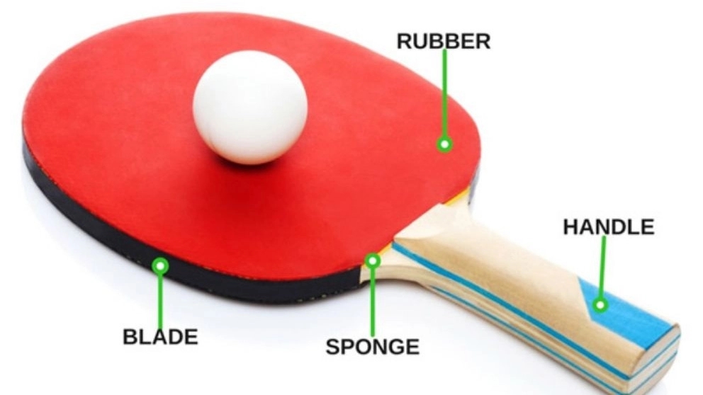 Getting to know the ping pong racket and its components