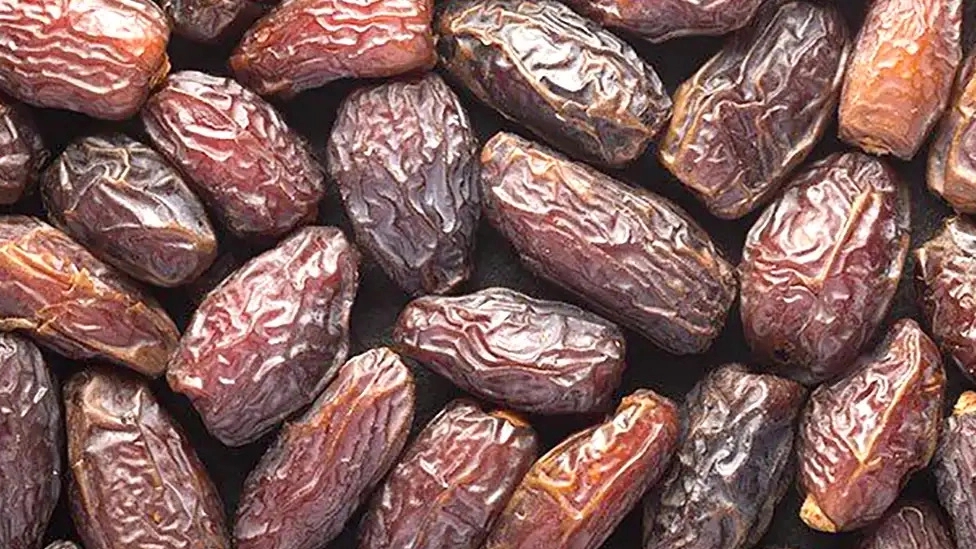 انواع خرما و خواص آن