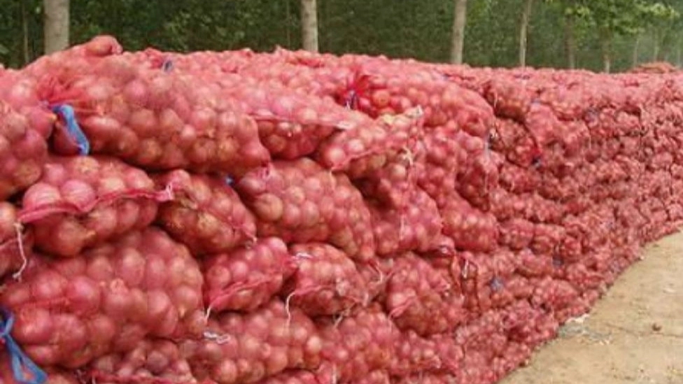 Methods of storing onions:
