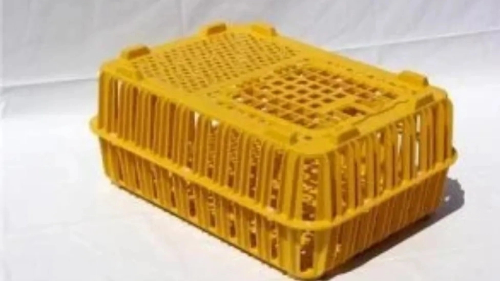 معرفی انواع سبد پلاستیکی و کاربردهای آن