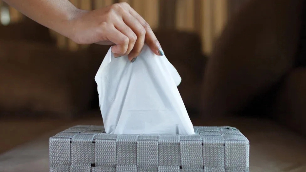 Kağıt mendil malzemeleri