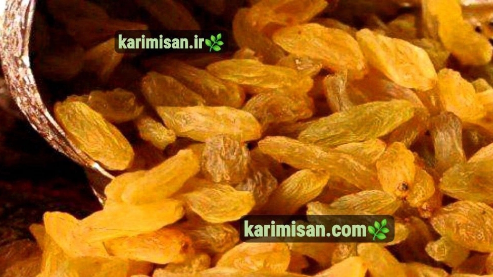 Zardel Gelami kuru üzümünün toptan satışı ve ihracatı