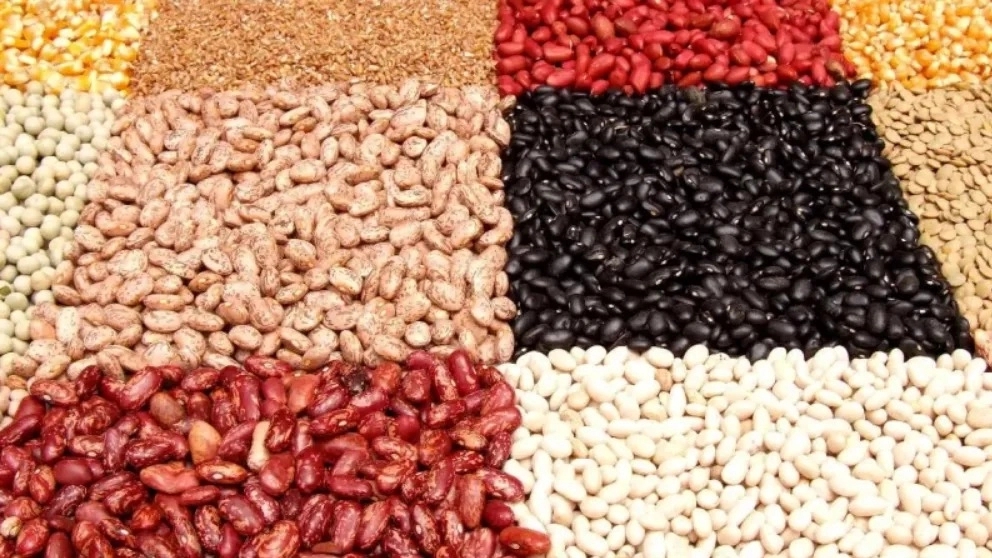 Types of legumes and their properties