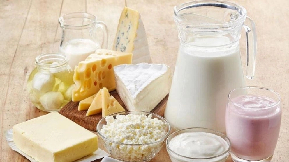 Important points in the storage of dairy products
