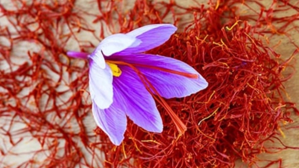 Identification of original saffron