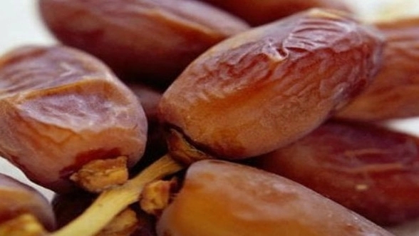 انواع خرما
