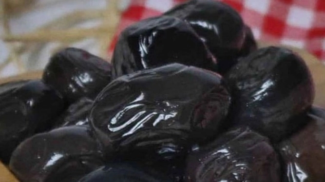 انواع خرما