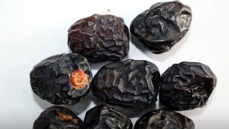 معروف ترین انواع خرما