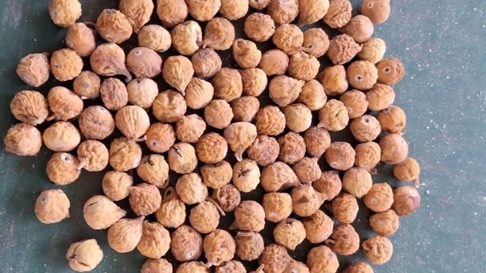 Estahban kuru incir satışı