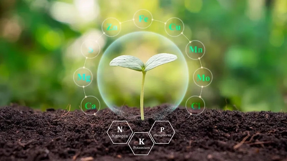 Biological fertilizer and its benefits