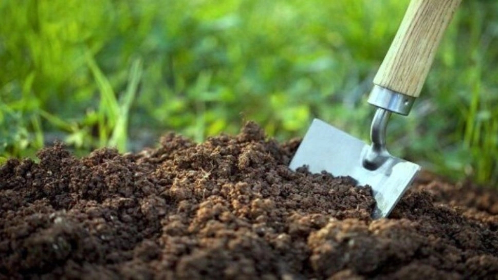 Biofertilizer production in Tehran