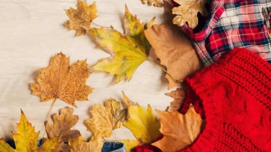 Maison Nik Naz, fall clothes in Borujerd