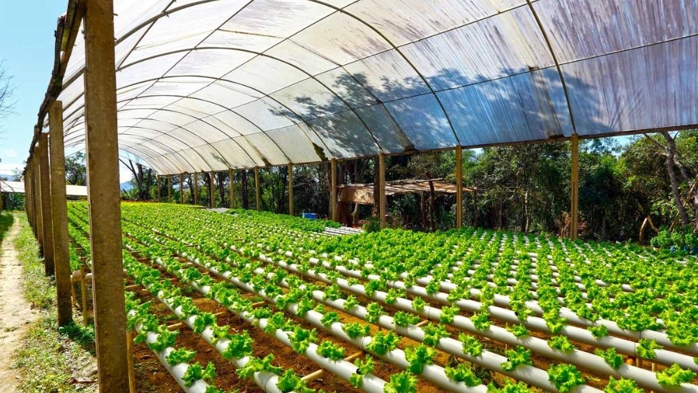 Construction of a greenhouse in Hamadan
