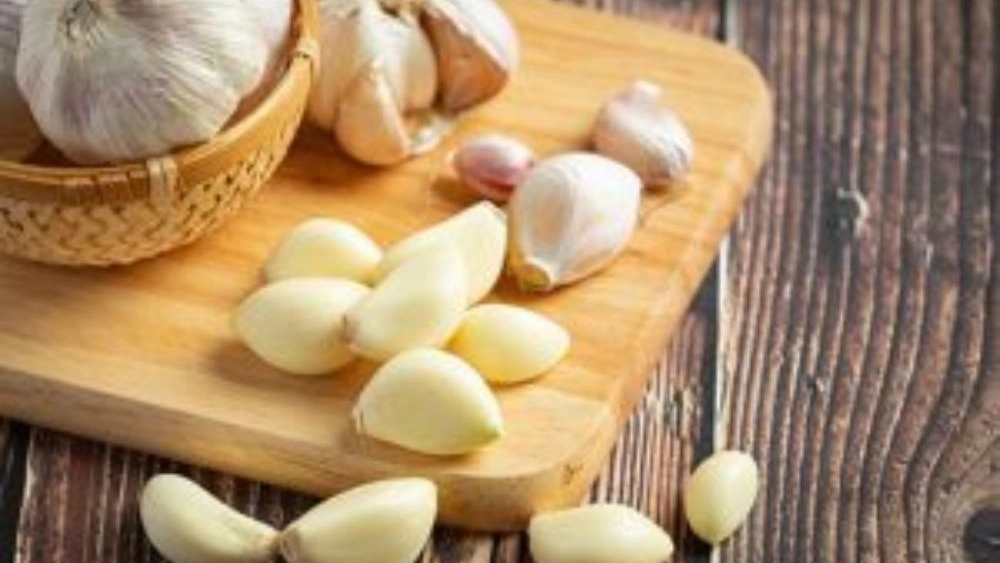 نکات نگهداری سیر