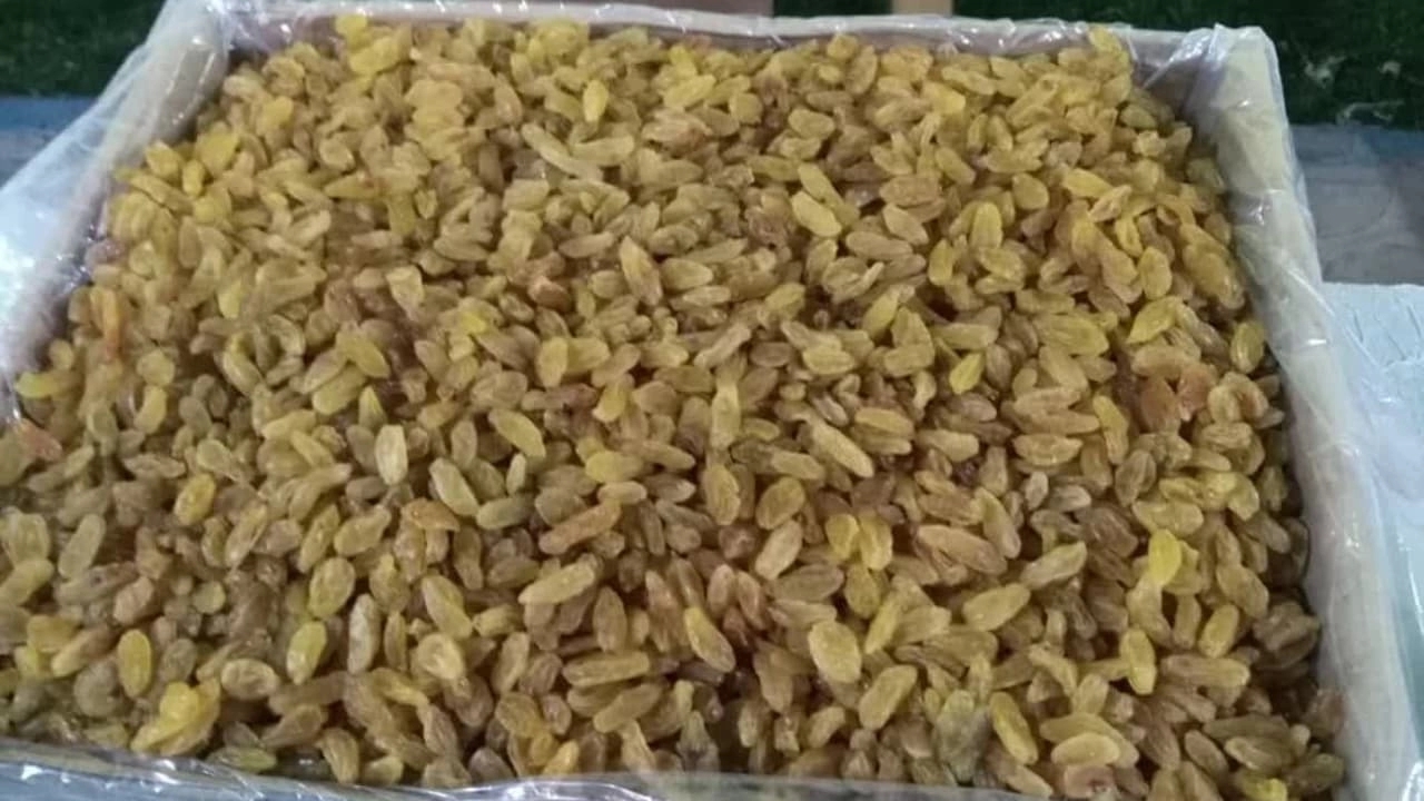 بازرگانی ریموند