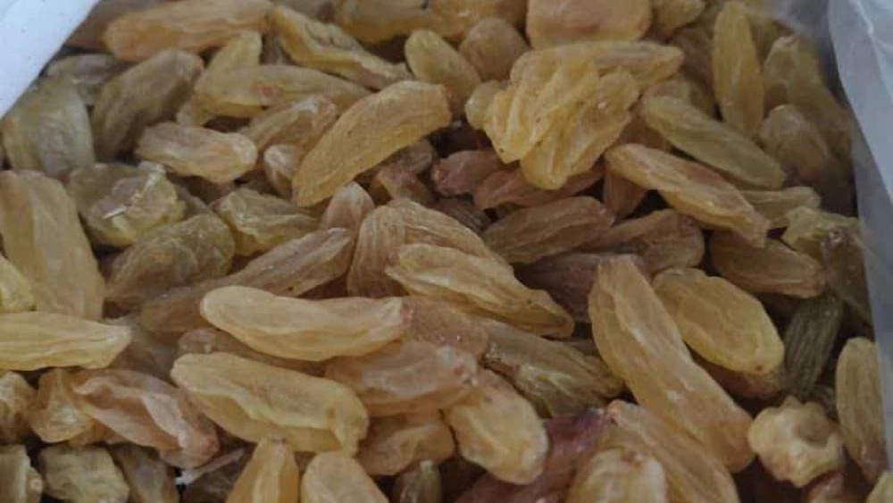 بازرگانی ریموند