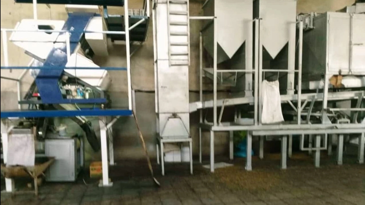 بازرگانی ریموند